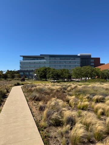 A path through the landscape