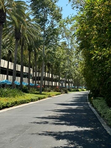The walk between buildings