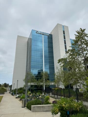 Another view
